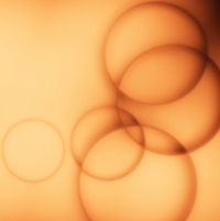 Magic Circles by Joyce Mulvey